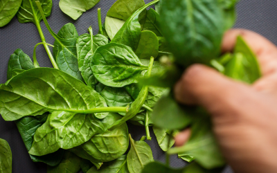 Spinat Kartoffelpüree mit Pilzsauce