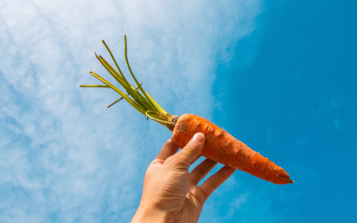 Geriebene Möhre mit Ingwer und Zimt
